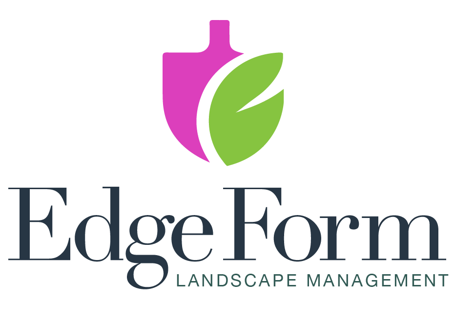 20 EF Logo Pink centered EF Logo