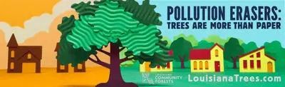 Pollution Erasers: Trees are more than paper