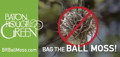 Bag the Ball Moss!