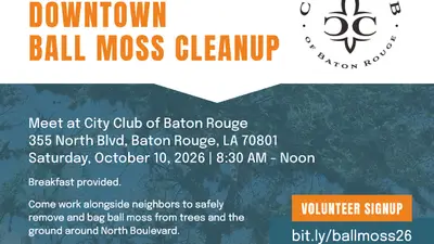 Downtown Ball Moss Cleanup