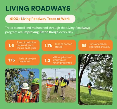 65 Tons of Carbon captured annually, 1.2 million gallons of stormwater runoff prevented